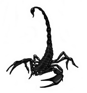 Scorpion3