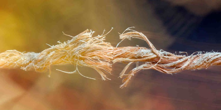 cord Untitled_design_31.jpg